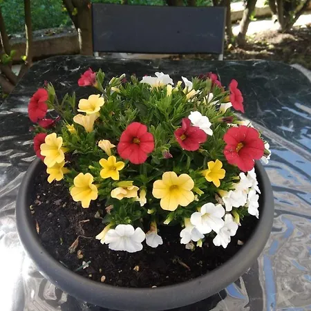 Гостевой дом La Maison Di Gio & Gio